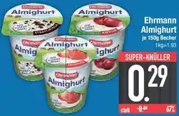 E-Center Ehrmann Almighurt Angebot