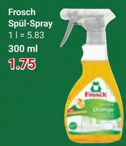 Globus Frosch Spül-Spray Angebot