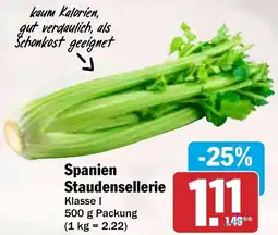 HIT Spanien Staudensellerie Angebot