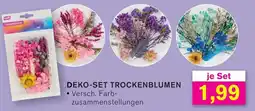KODi DEKO-SET TROCKENBLUMEN Angebot