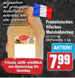 HIT Französisches frisches Maishähnchen Angebot