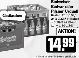 HIT Budweiser Budvar oder Pilsner Urquell Angebot