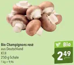 CITTI Markt Bio Champignons rosé Angebot