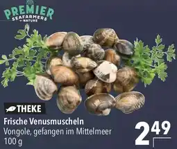 CITTI Markt Frische Venusmuscheln Angebot