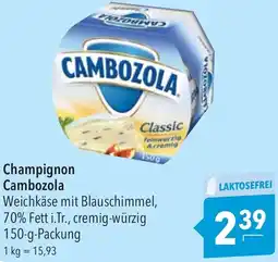 CITTI Markt Champignon Cambozola Angebot