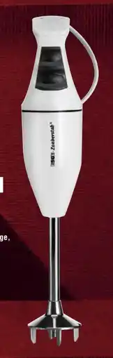 Handelshof Esge Zauberstab Stabmixer M100D Angebot
