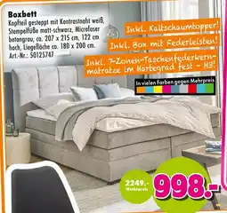 Möbel Mahler Boxbett Angebot