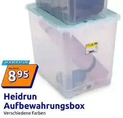 Action Heidrun Aufbewahrungsbox Angebot