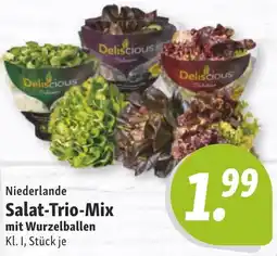 Nah & Frisch Salat-Trio-Mix mit Wurzelballen Angebot