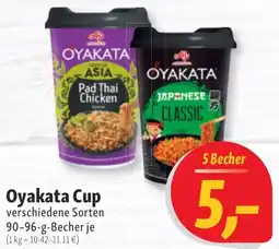 Nah & Frisch Oyakata Cup Angebot