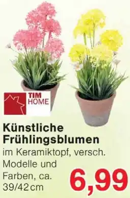 Wiglo Wunderland TIM HOME Künstliche Frühlingsblumen Angebot