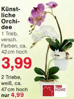 Wiglo Wunderland TIM HOME Künstliche Orchidee Angebot