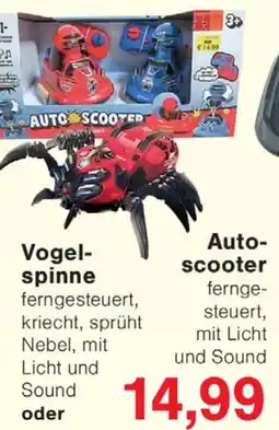 Wiglo Wunderland Vogelspinne oder Autoscooter Angebot