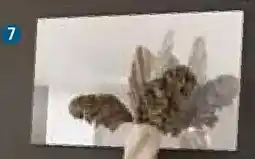 Zurbrüggen Voleo XL-Spiegel Angebot