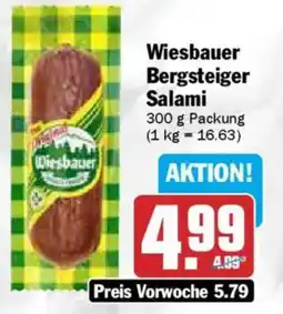 AEZ Wiesbauer Bergsteiger Salami Angebot