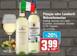 AEZ Pasqua oder Lamberti Rebsortenweine Angebot