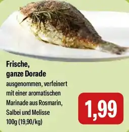 Feneberg Frische, ganze Dorade Angebot