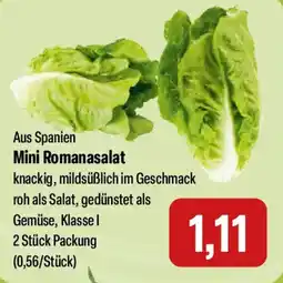 Feneberg Mini Romanasalat Angebot