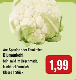 Feneberg Blumenkohl Angebot