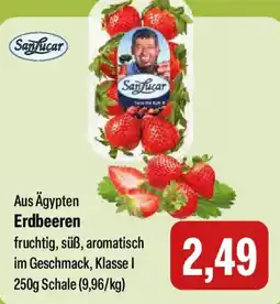 Feneberg Erdbeeren Angebot