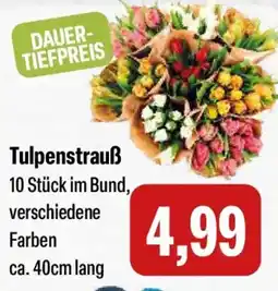 Feneberg Tulpenstrauß Angebot