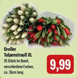 Feneberg Großer Tulpenstrauß XL Angebot