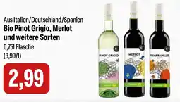 Feneberg Bio Pinot Grigio, Merlot Angebot