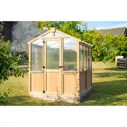 Netto Marken-Discount Westmann Holz Gewächshaus Paul Angebot