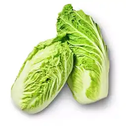 Kaufland Chinakohl Angebot