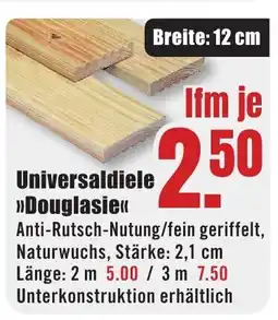 B1 Discount Baumarkt Universaldiele >>Douglasie<< Angebot
