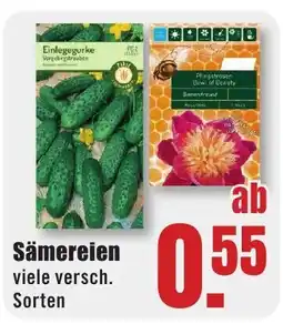 B1 Discount Baumarkt Sämereien Angebot