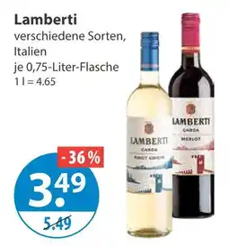 V Markt Lamberti wein Angebot