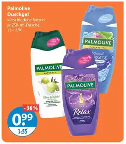 V Markt Palmolive duschgel olive & milch Angebot