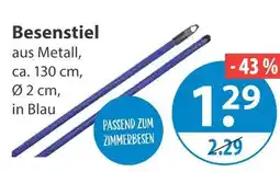 V Markt Besenstiel Angebot