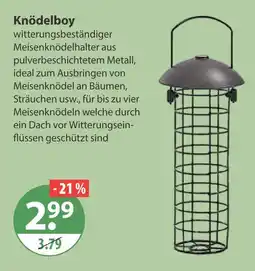 V Markt Knödelboy Angebot