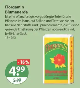 V Markt Florgamin blumenerde Angebot