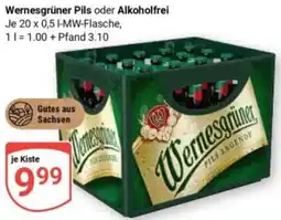 Globus Wernesgrüner Pils oder Alkoholfrei Angebot