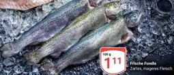 Globus Frische Forelle Angebot