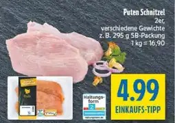 diska Puten Schnitzel Angebot