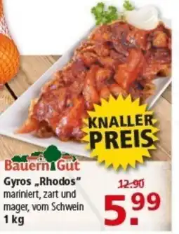 Multi Markt Bauern Gut Gyros „Rhodos" Angebot