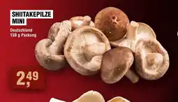 Handelshof Shiitakepilze mini Angebot