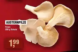 Handelshof Austernpilze Angebot