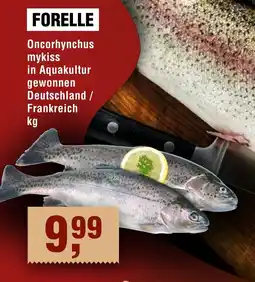 Handelshof Forelle Angebot