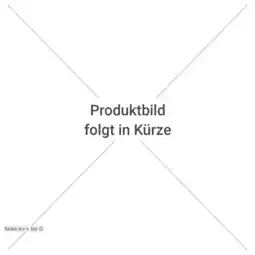 Netto Marken-Discount Wamsler Kaminofen Montafon Angebot