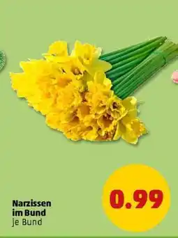 PENNY Narzissen im Bund Angebot