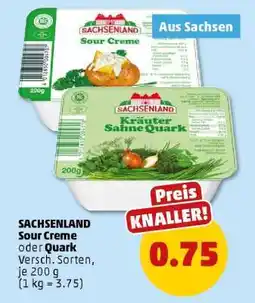 PENNY SACHSENLAND Sour Creme oder Quark Angebot