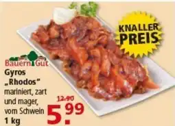 Multi Markt Bauern Gut Gyros ., Rhodos" Angebot