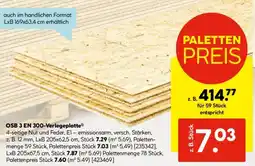Hellweg OSB 3 EN 300-Verlegeplatte Angebot
