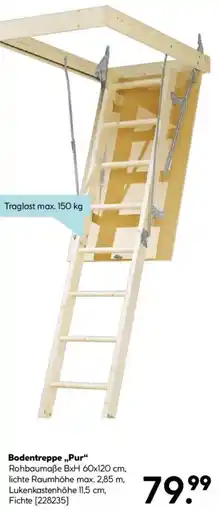 Hellweg Bodentreppe „Pur“ Angebot