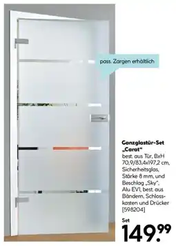 Hellweg Ganzglastür-Set ,,Carat" Angebot